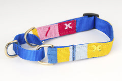 A Tail We Could Wag Starry Day Martingale Dog Collar