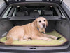 Dream On Waterproof Travel Dog Blanket