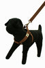 Wagging Green Tree Bark Dog Collar