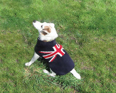 Chilly Dog Union Jack Dog Sweater