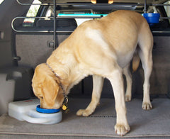 PortablePet WaterBoy Dog Travel Water Bowl