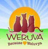 Weruva Steak Frites Canned Dog Food