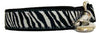 Owen & Olivia Zebra Dog Collar